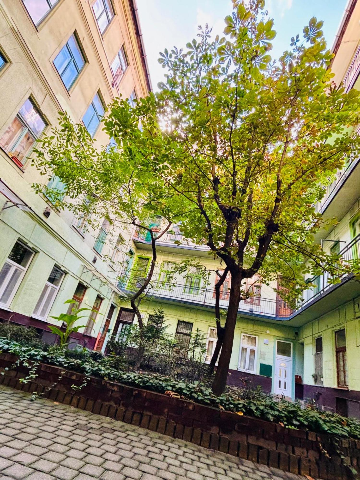 Ava Central Residence Budapesta Exterior foto